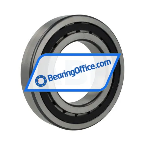 FAG NJ220-E-XL-TVP2-C3