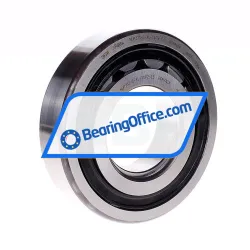 FAG NUP313-E-XL-TVP2-C3