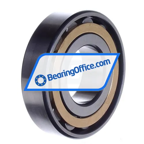 FAG N309-E-XL-M1-C3 bearing image 3
