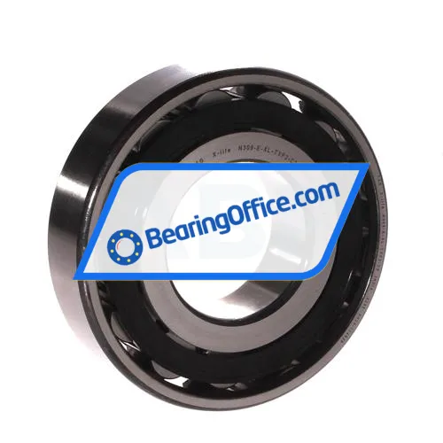 FAG N309-E-XL-TVP2-C3