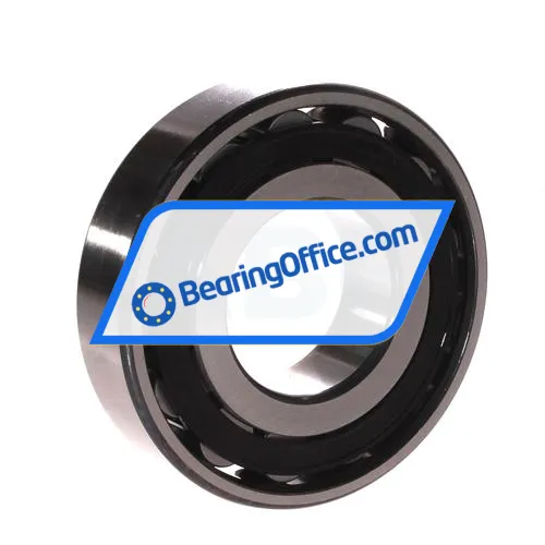 FAG N309-E-XL-TVP2-C3 bearing image 2