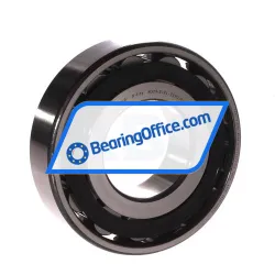 FAG N309-E-XL-TVP2-C3