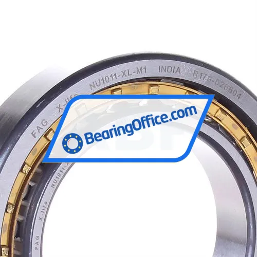 FAG NU1011-XL-M1 bearing image 2