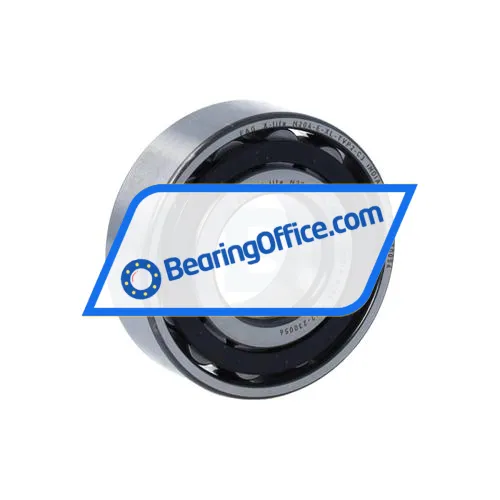 FAG N204-E-XL-TVP2-C3