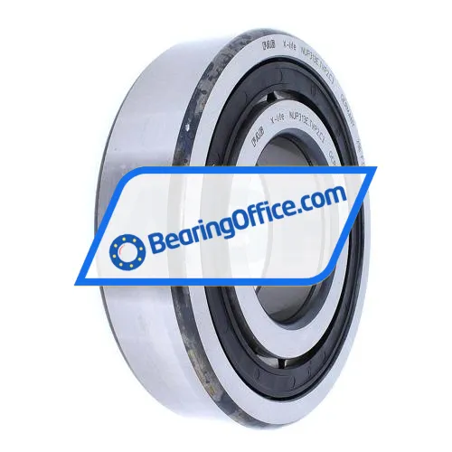 FAG NUP313-E-TVP2-C3