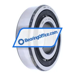 FAG NUP313-E-TVP2-C3