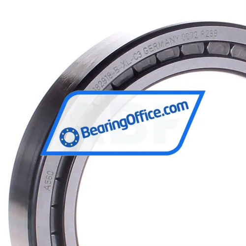 INA SL182918-B-XL-C3 bearing image 2