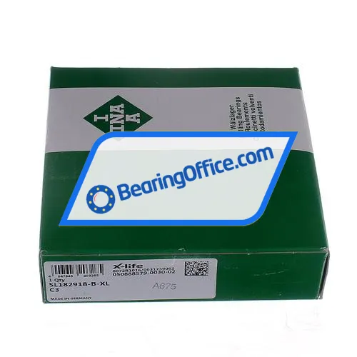 INA SL182918-B-XL-C3 bearing image 3