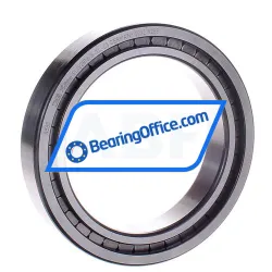 INA SL182918-B-XL-C3