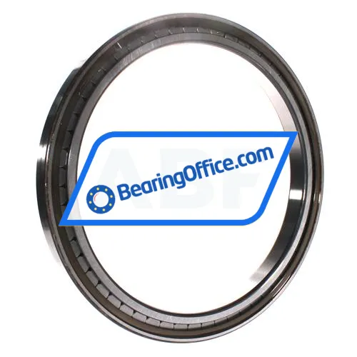INA SL181852-E-C3 bearing image 2