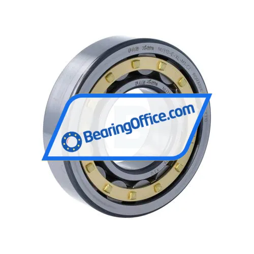 FAG NU310-E-XL-M1-C4