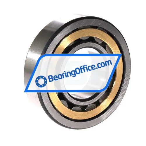 FAG NU309-E-XL-M1-F1-C4 bearing image 2