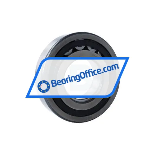 FAG NUP319-E-XL-TVP2-C3