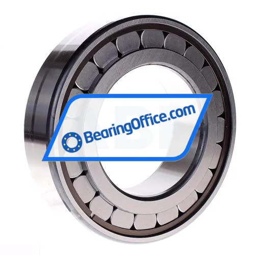 INA SL182219-A bearing image 2