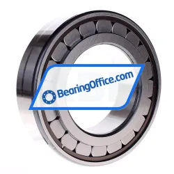 INA SL182219-A rulman resim 2