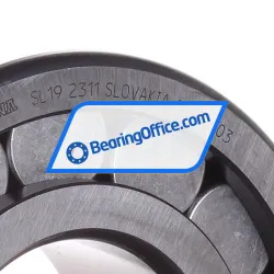 INA SL192311 rulman resim 2