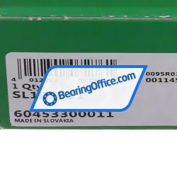 INA SL192311 rulman resim 5