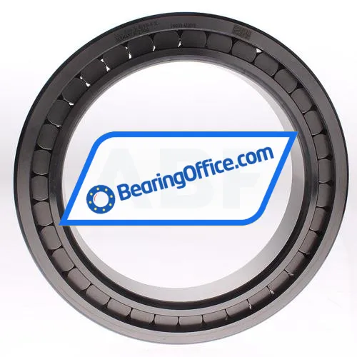 INA SL182936-B-XL bearing image 2
