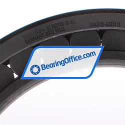 INA SL182936-B-XL rulman resim 3