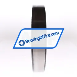 INA SL182936-B-XL rulman resim 4