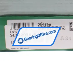 INA SL182936-B-XL rulman resim 6