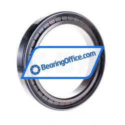 INA SL182934-B-XL rulman resim 3