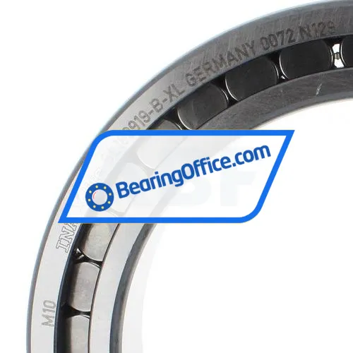 INA SL182919-B-XL bearing image 3