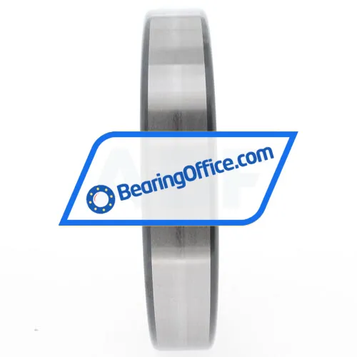 INA SL182919-B-XL bearing image 4