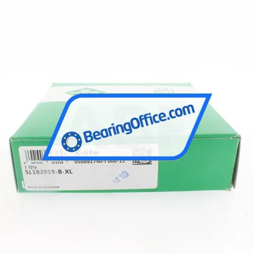 INA SL182919-B-XL bearing image 5