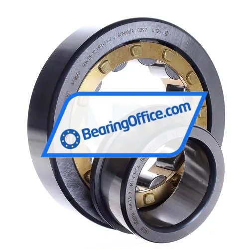 FAG NJ413-XL-M1-F1-C4 bearing image 3