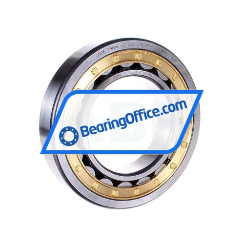 FAG NJ220-E-XL-M1A-C3