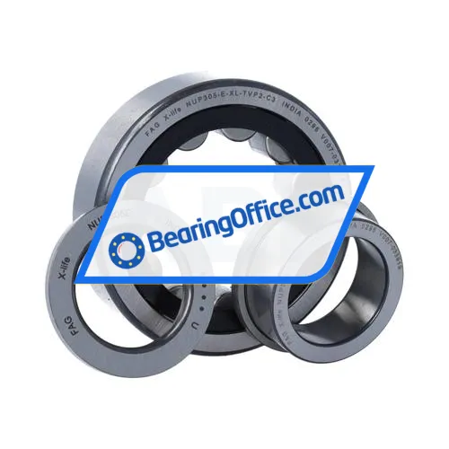 FAG NUP305-E-XL-TVP2-C3 bearing image 3