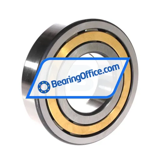 FAG NUP313-E-XL-M1 bearing image 2