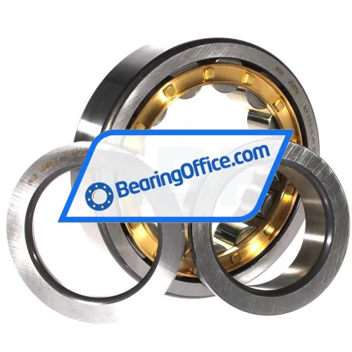 FAG NUP313-E-XL-M1 bearing image 3