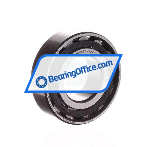 FAG N205E-TVP2-C3