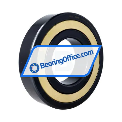 FAG NJ318-E-XL-MPA-J30PC-C3