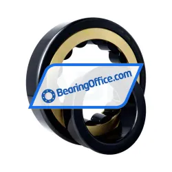 FAG NJ318-E-XL-MPA-J30PC-C3 rulman resim 3