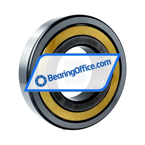 FAG NJ318-E-XL-M1-C4 bearing image 3