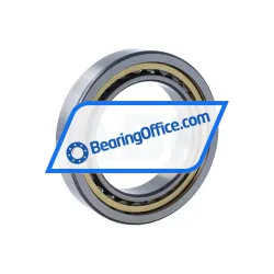 FAG NU1013-XL-M1 rulman resim 2