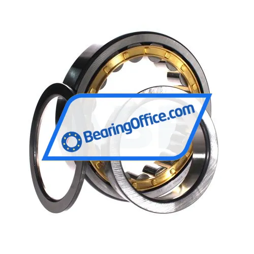 FAG NUP220-E-XL-M1-C3 bearing image 3