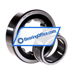 FAG NJ309-E-TVP2-QP51-C4 rulman resim 2