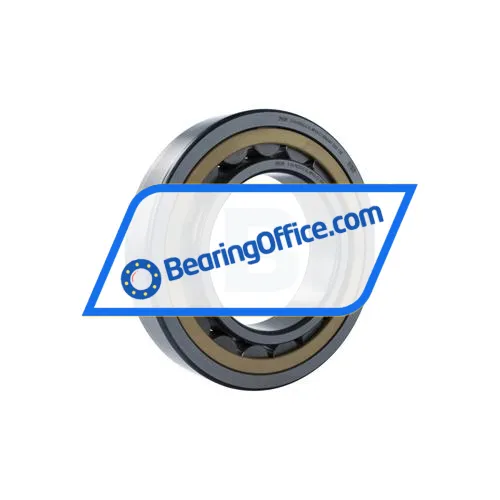 FAG NU224-E-XL-MPAX-C3