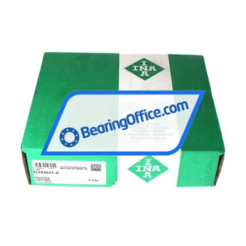 INA SL183024-A bearing image 5