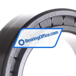 INA SL183024-A rulman resim 2