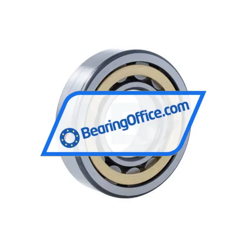 FAG NU310-E-XL-M1-F1-C4 bearing image 2