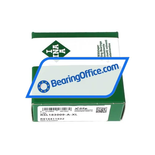 INA RSL183009-A-XL bearing image 3