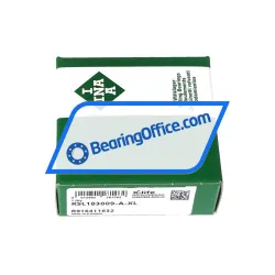 INA RSL183009-A-XL rulman resim 3