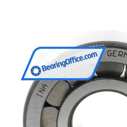 INA SL192305-C3 rulman resim 4