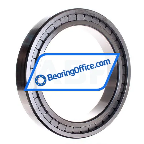 INA SL182944-B-XL-C3