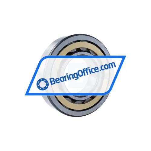 FAG NU319-E-XL-M1-F1-C4 bearing image 2
